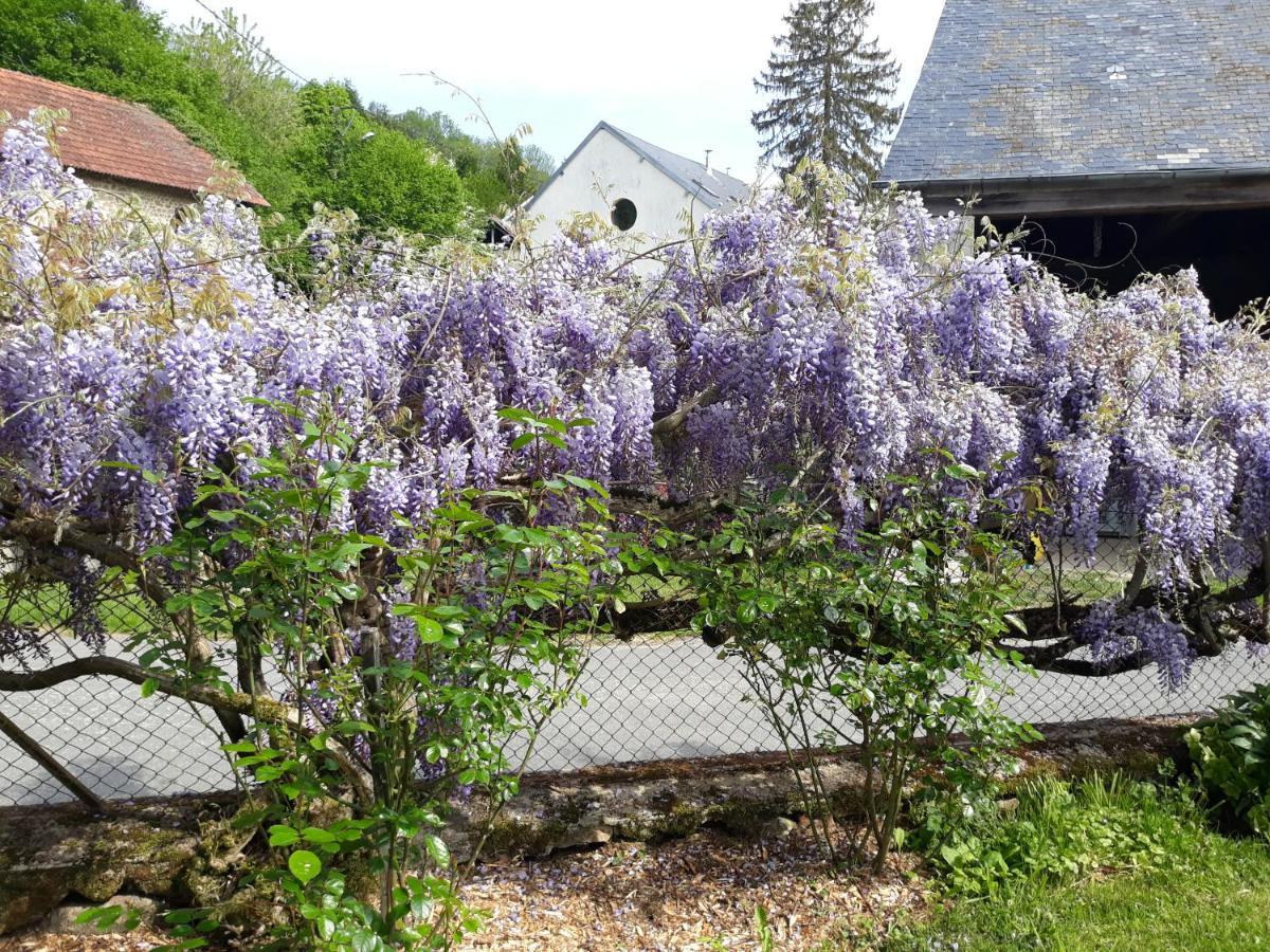 Village De Vie Saint-Vaury Exteriér fotografie