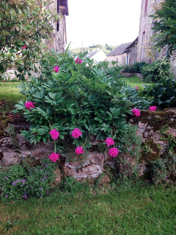 Village De Vie Saint-Vaury Exteriér fotografie